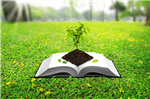Go Green Initiative 